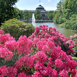 Wiesbaden fokussiert